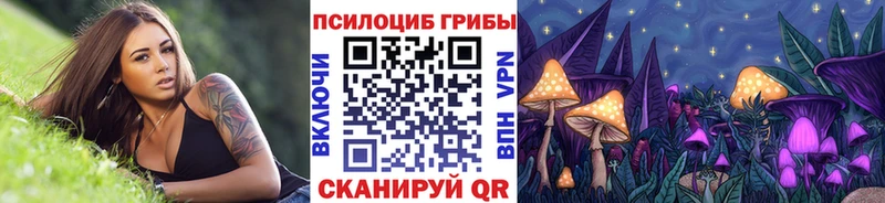 где найти наркотики  Шимановск  ссылка на мегу ТОР  Галлюциногенные грибы Psilocybine cubensis 